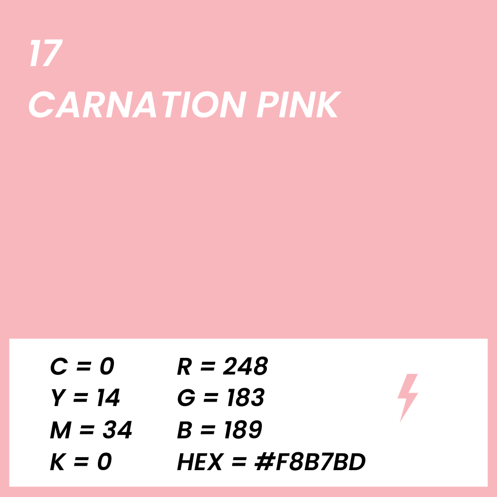 fond papier rose carnation pink couleur