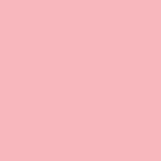 fond papier carnation pink