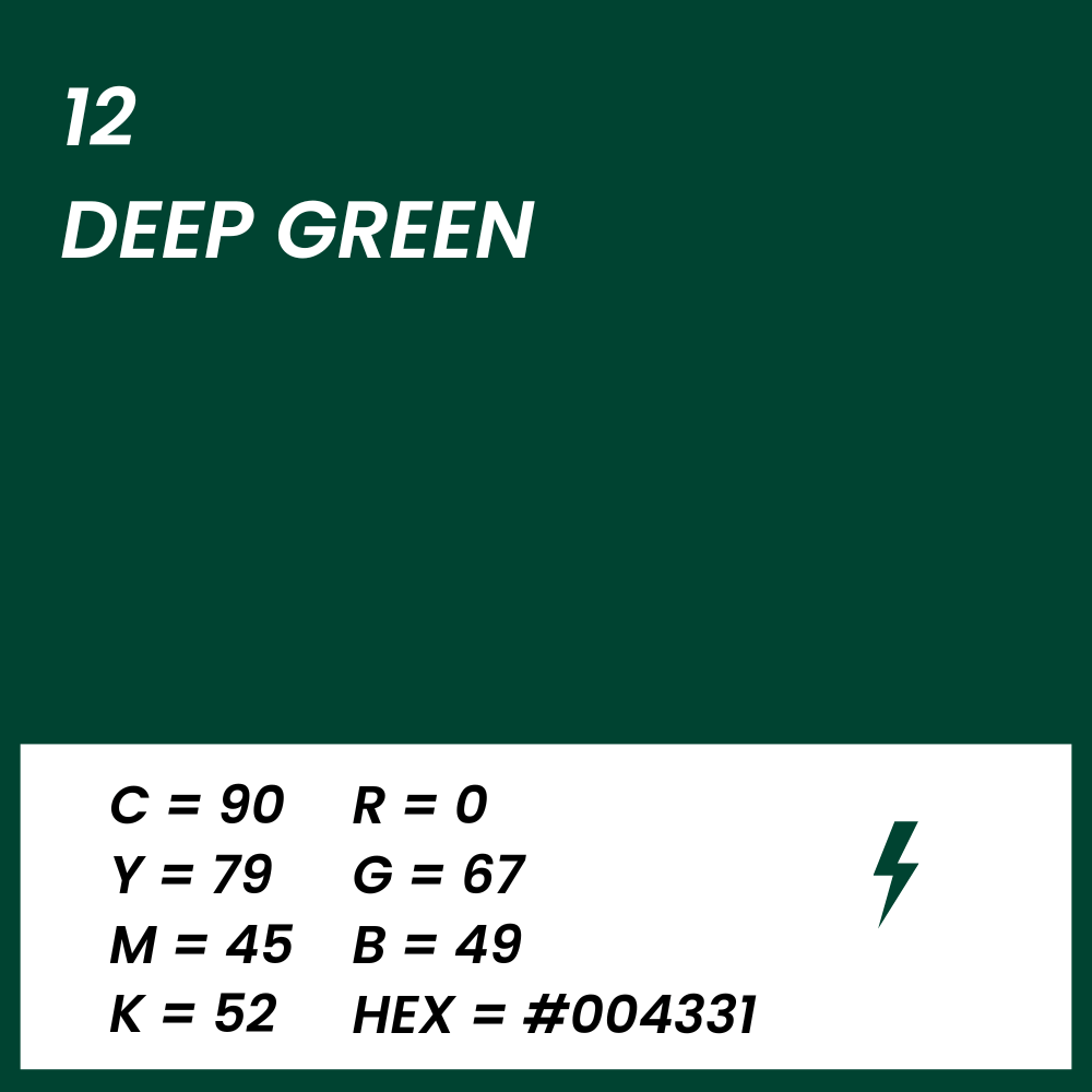 Fond papier vert deep green couleur