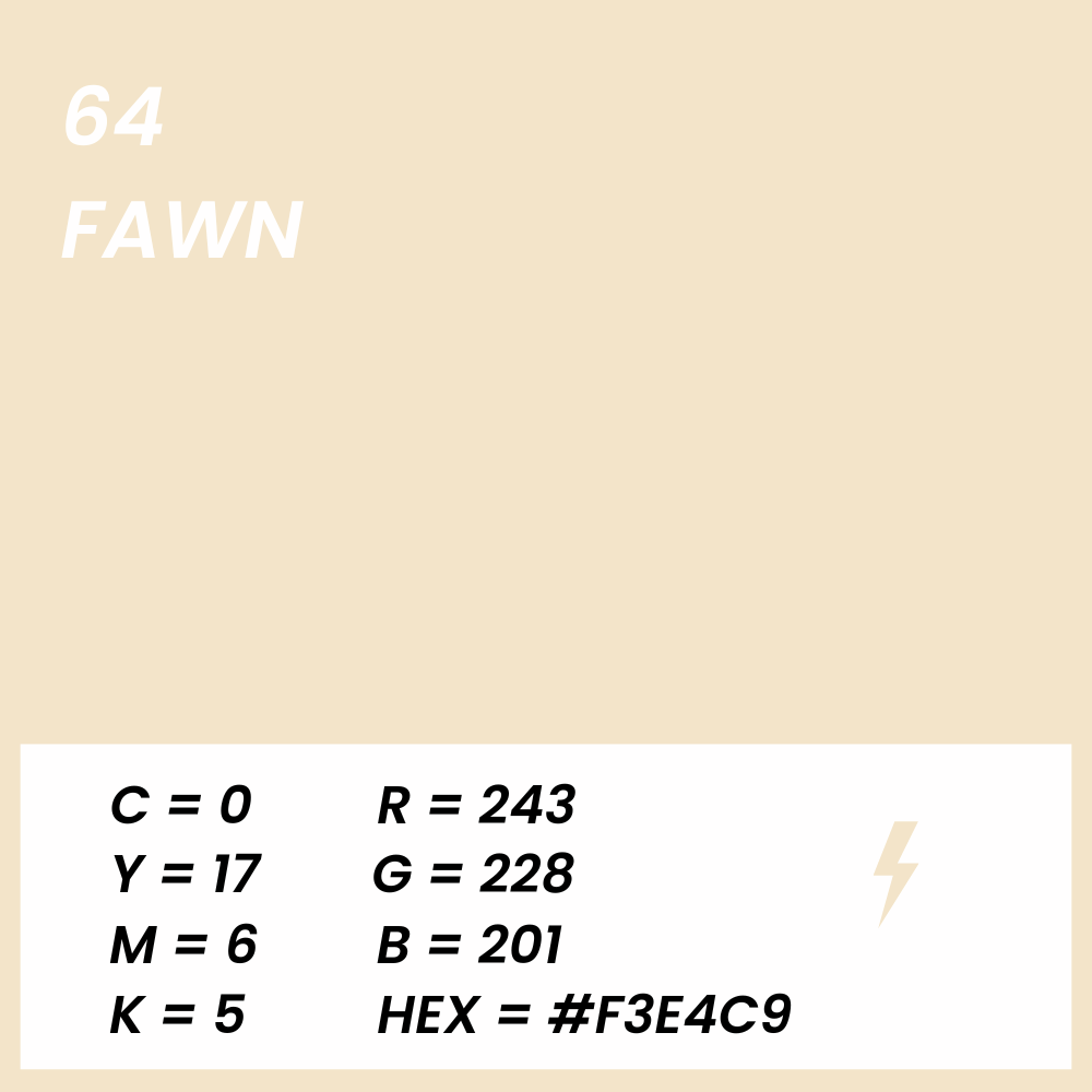 fond papier beige fawn couleur