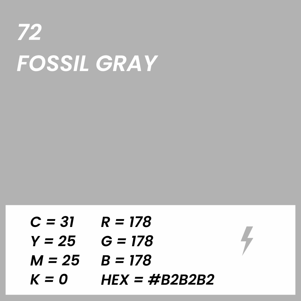 fond papier gris fossil gray couleur
