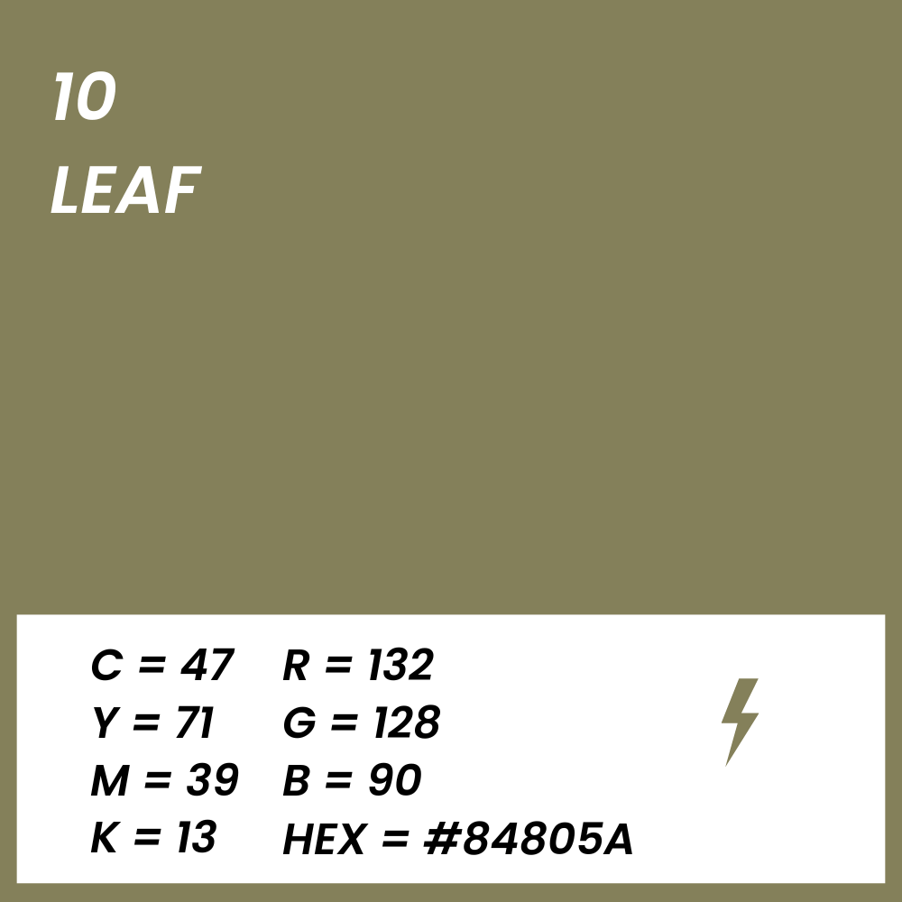fond papier vert leaf couleur
