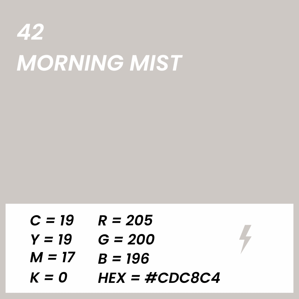 fond papier gris morning mist couleur