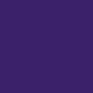 fond studio violet