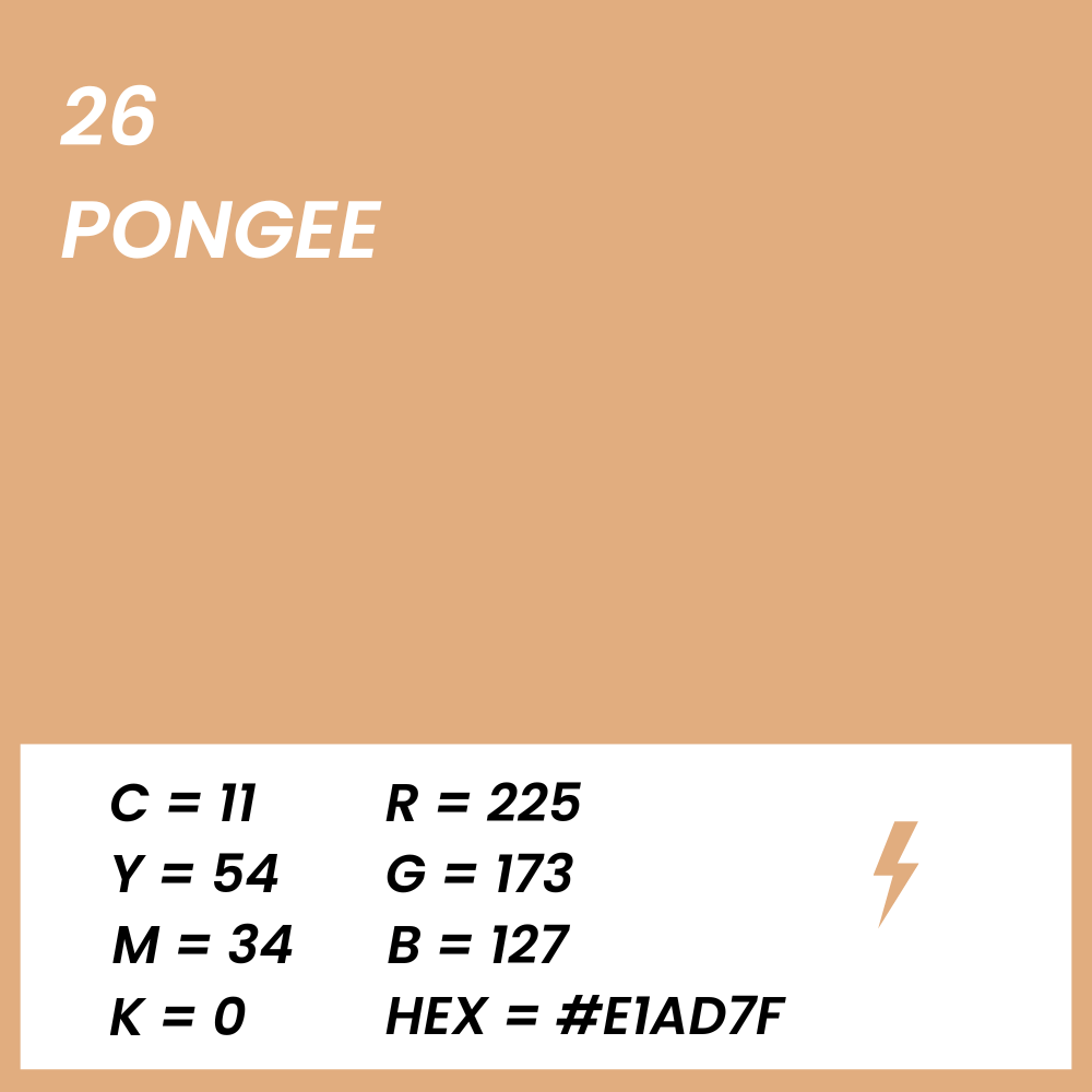 fond papier beige clair couleur