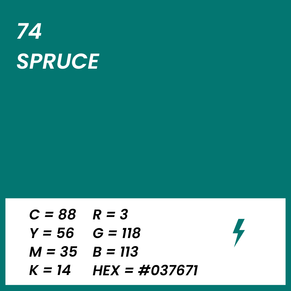 fond papier vert spruce couleur