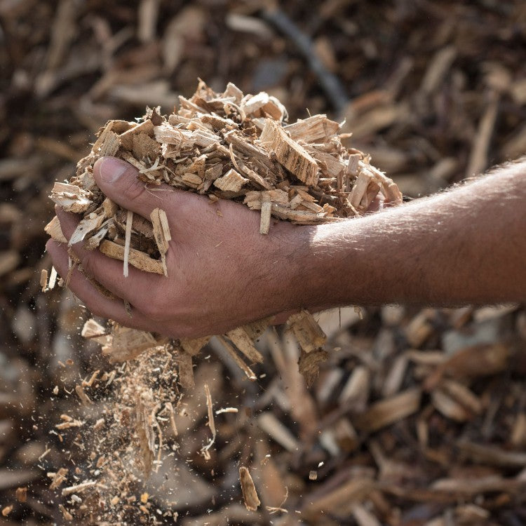 copeaux bois cellulose