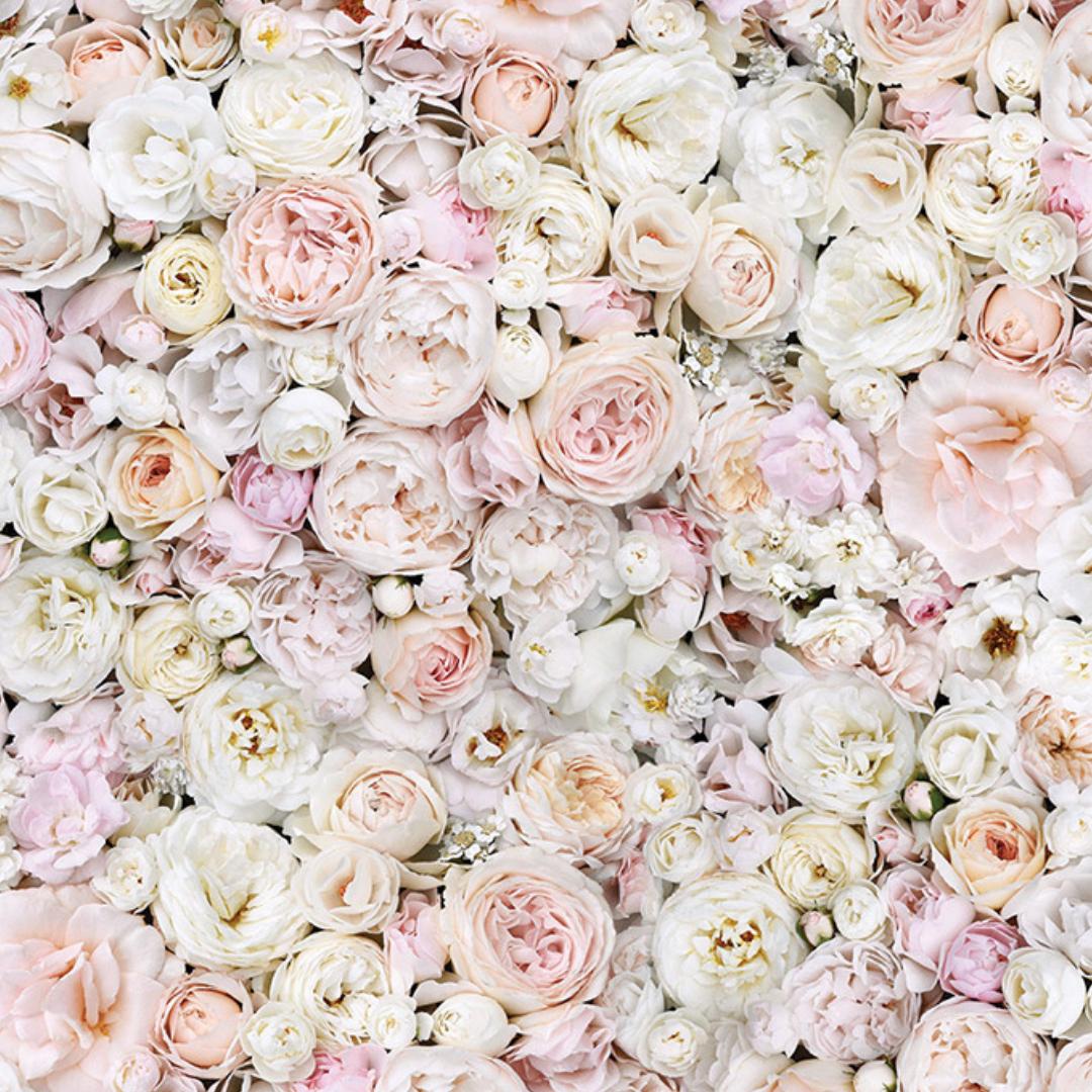 flatlay backdrop collection realiste 5146 zoom