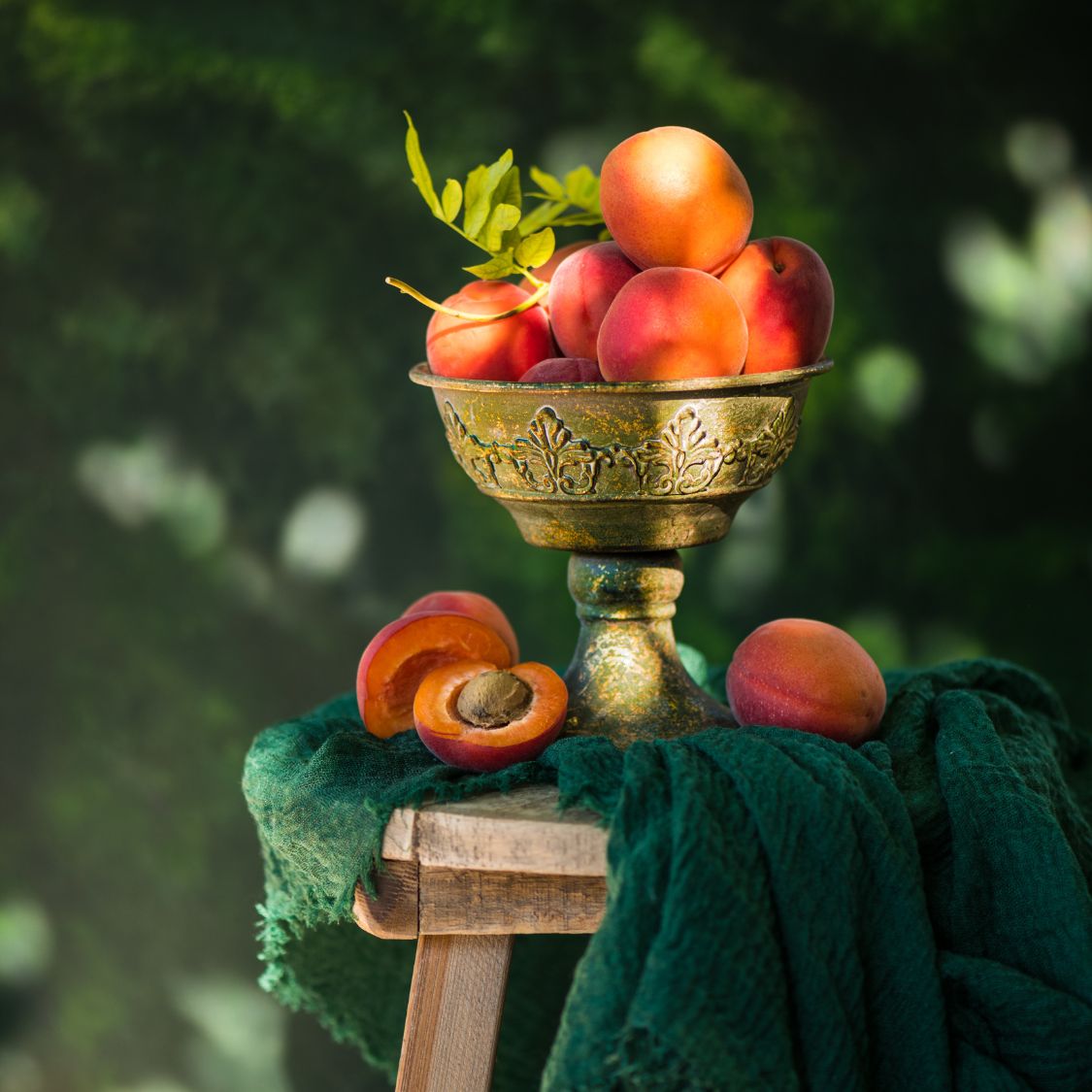 toile de fond photographe foret impressionniste#couleur_forêt-impressionniste