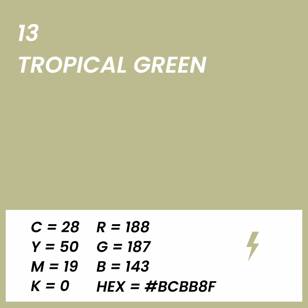 fond papier vert tropical green couleur