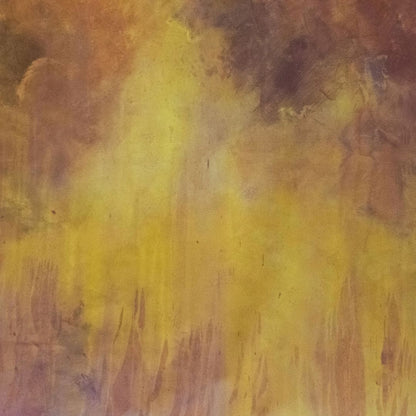 Location backdrop toile de fond savanah detail