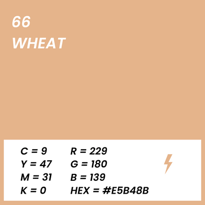 Fond papier beige wheat couleur