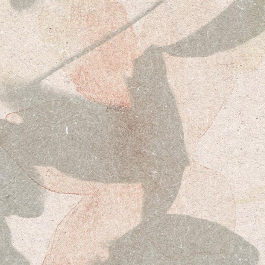 flatlay backdrop collection abstraits 5143 zoom