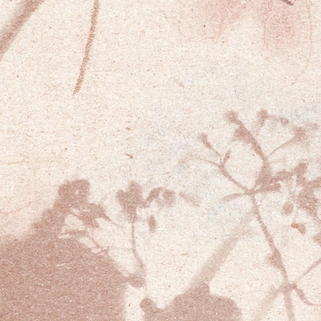 flatlay backdrop collection abstraits 5144 zoom