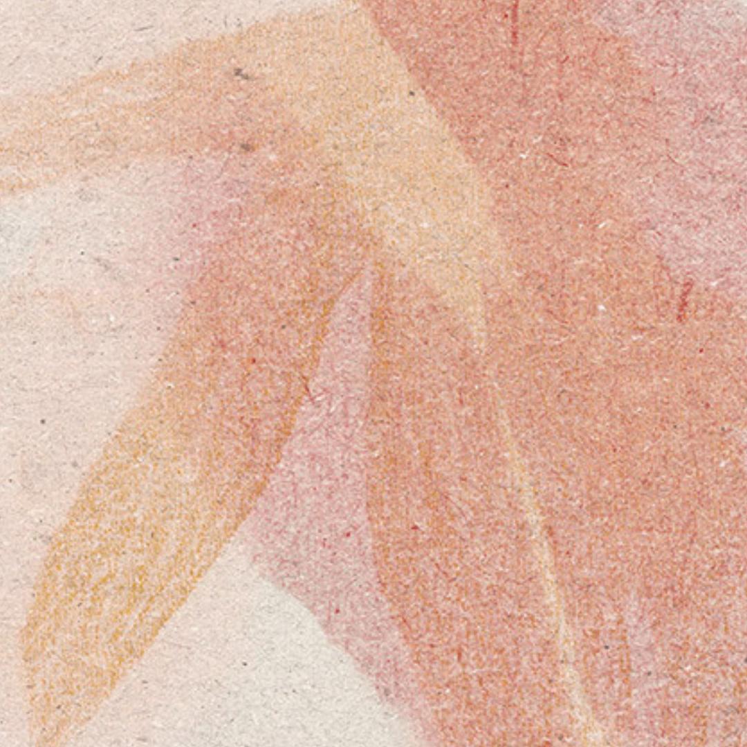 flatlay backdrop collection abstraits 5145 zoom#couleur_5145-Pétales-Dousses