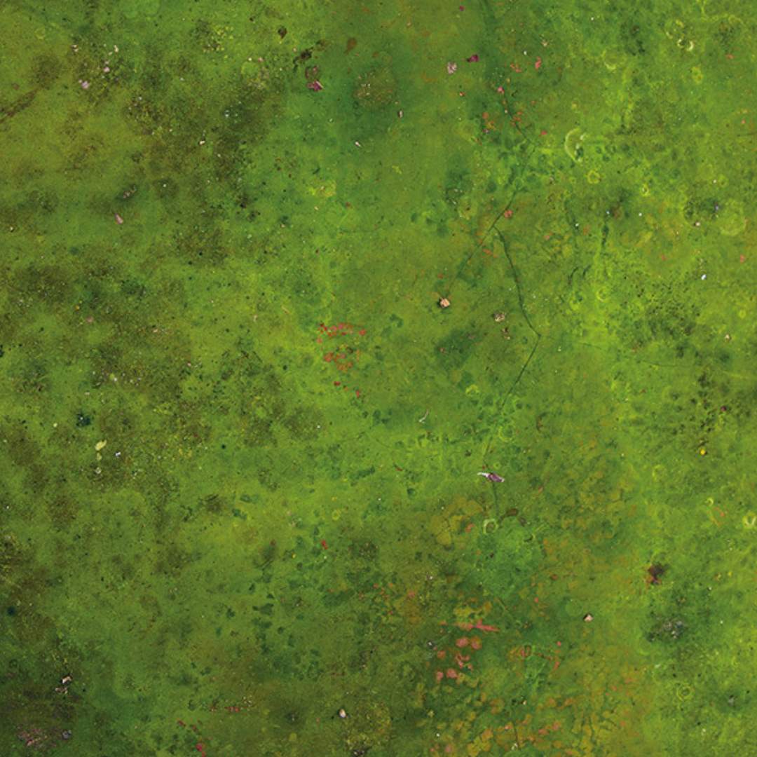 flatlay backdrop collection texture 3187 zoom