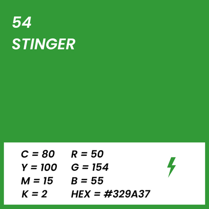 fond papier vert stinger couleur