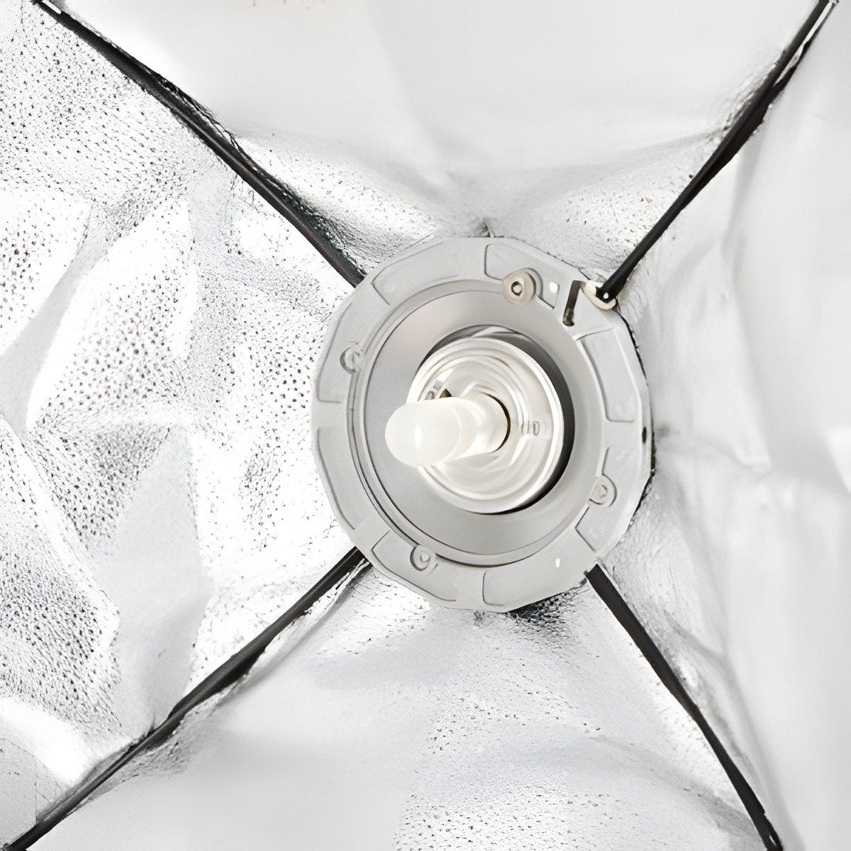 Bague de la softbox StudioKing SBCS69 vue de l'intérieur, entre les baleines 