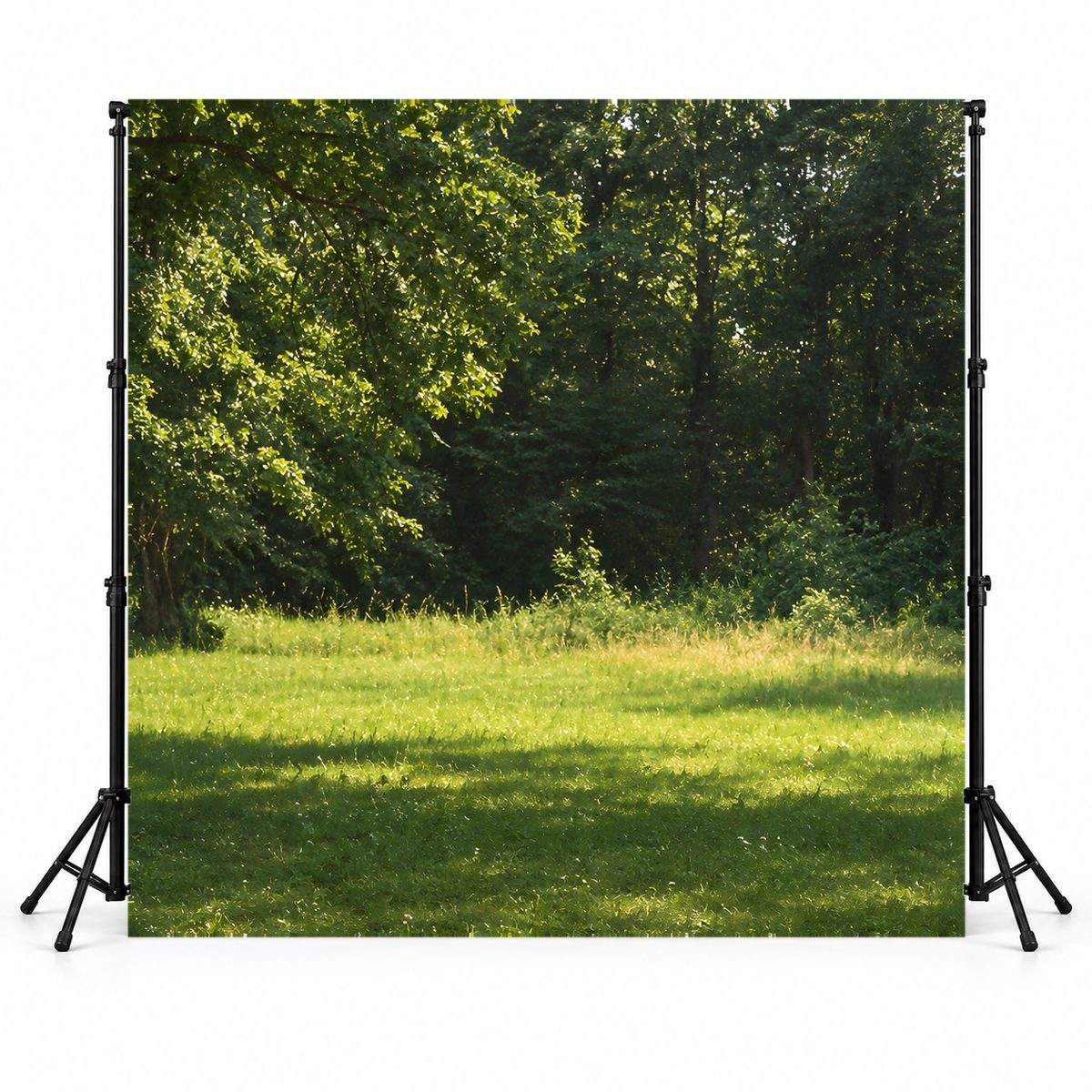 Toile de fond photo paysage naturel lisière de bois 3 x 3 m montée sur support de fond en studio
