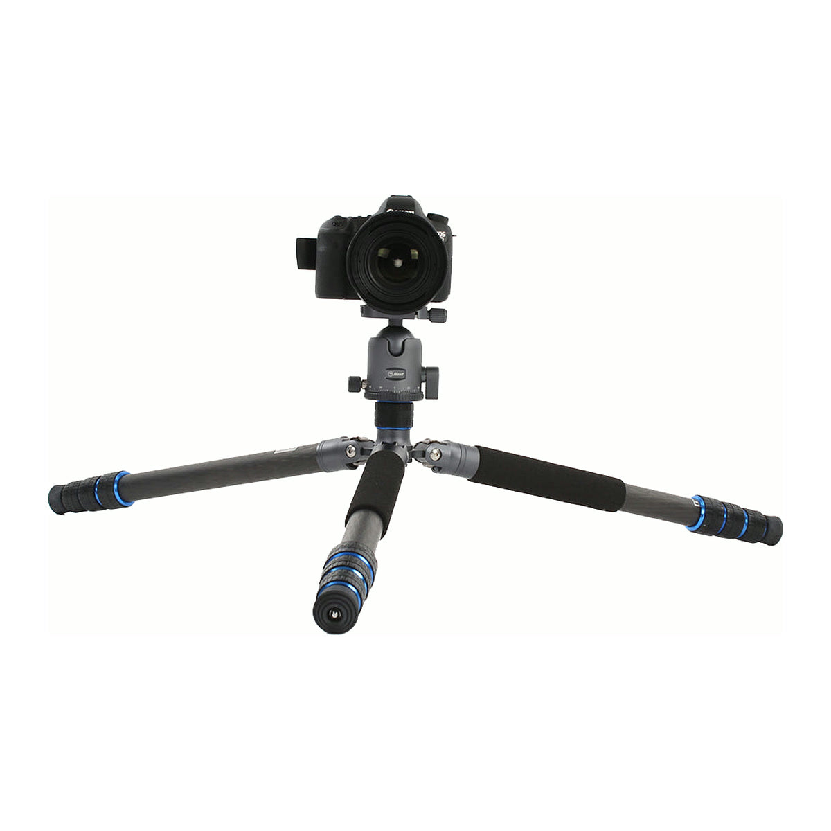 Trépied Nest NT-6294CK jambes écartées au ras du sol, appareil sur la rotule ball